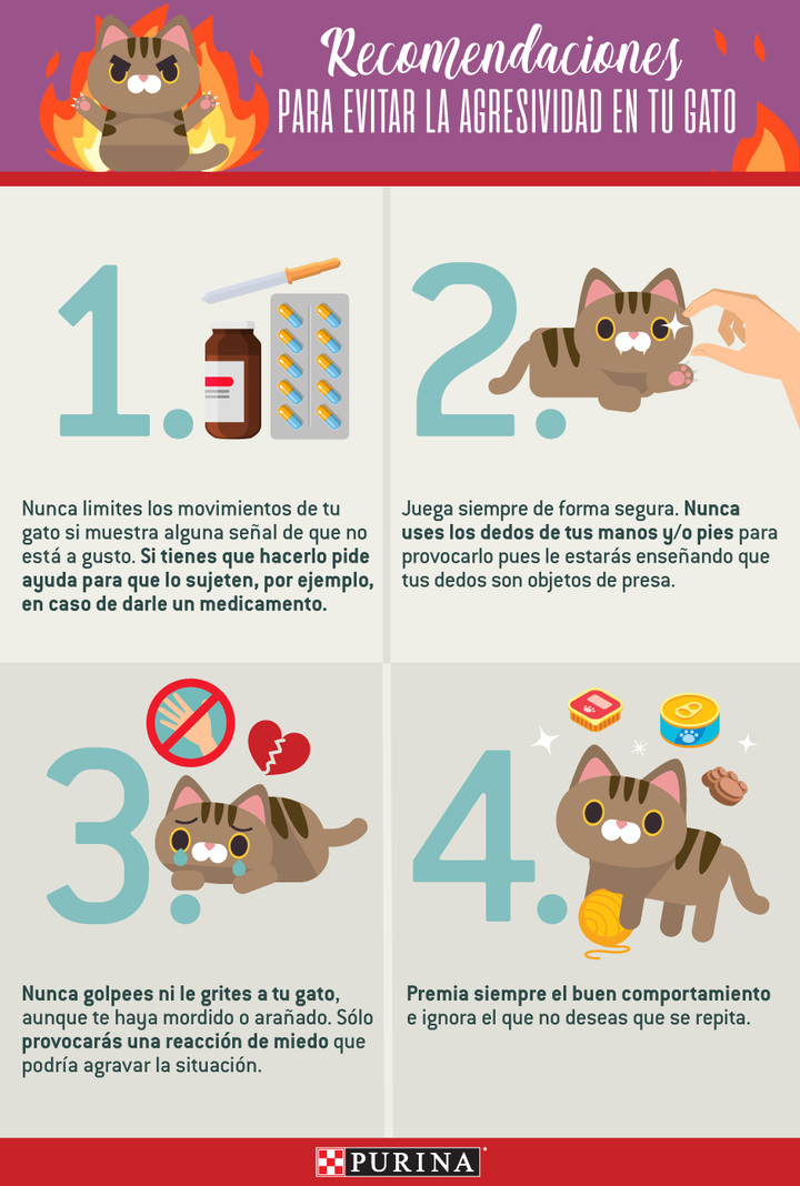 Purina_como_actuar_si_tu_gato_es_agresivo-nota-infografia.png