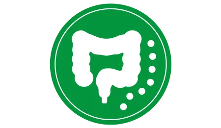 icono de intestino icono de intestino