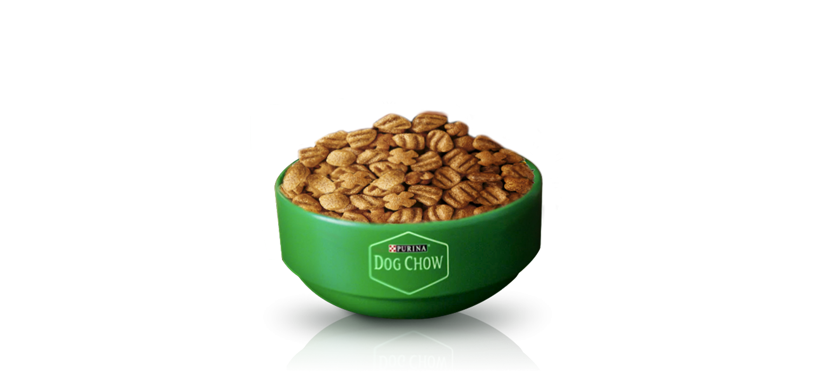 Bowl de alimento seco Bowl de alimento seco
