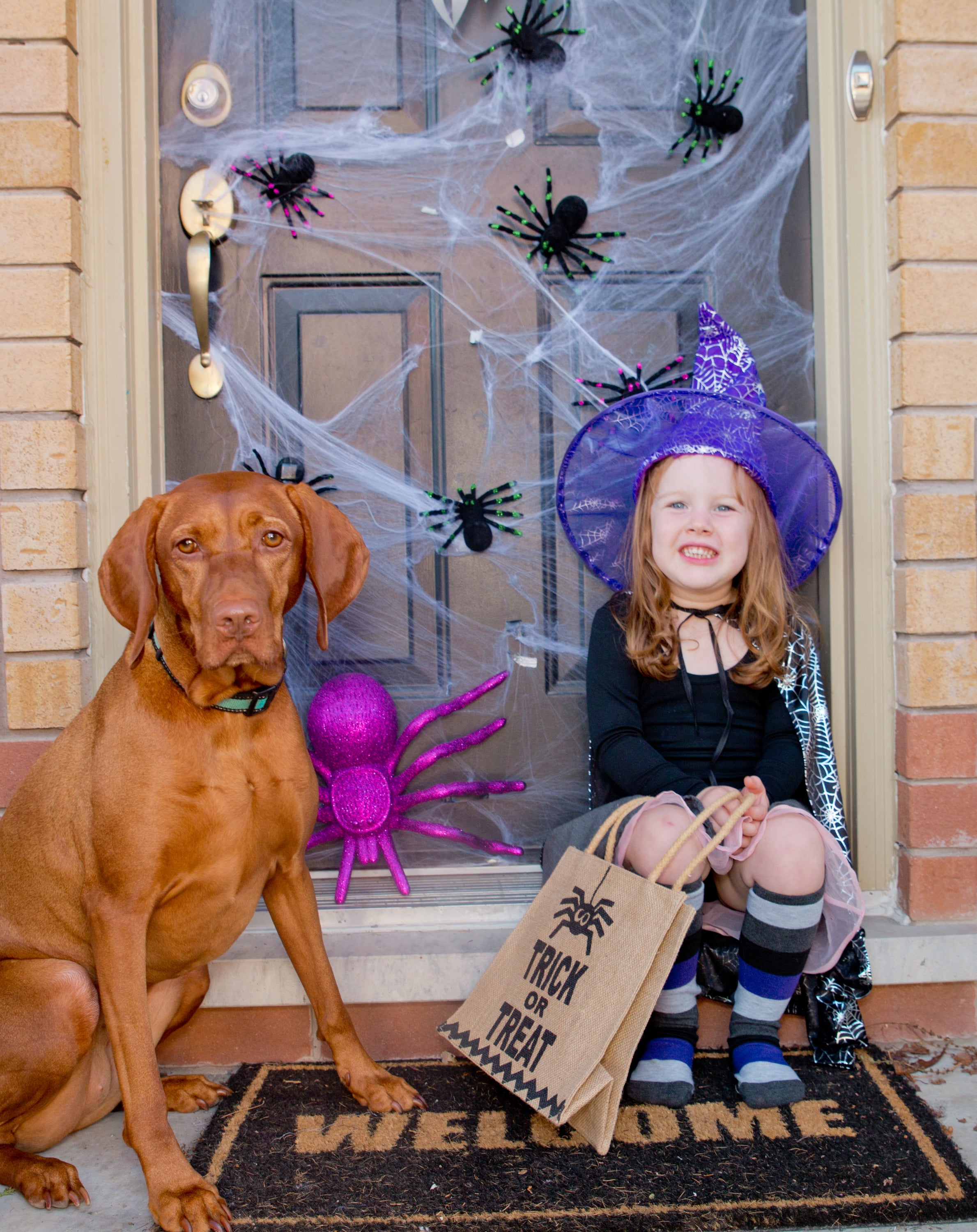 Disfraces para perros-raza grande. Niña pequeña personificando a una brujita celebrando Halloween junto a su mascota de raza grande, color café, que no usa ningún disfraz para perros.