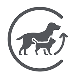 Purina Excellent Purina Excellent beneficio 2