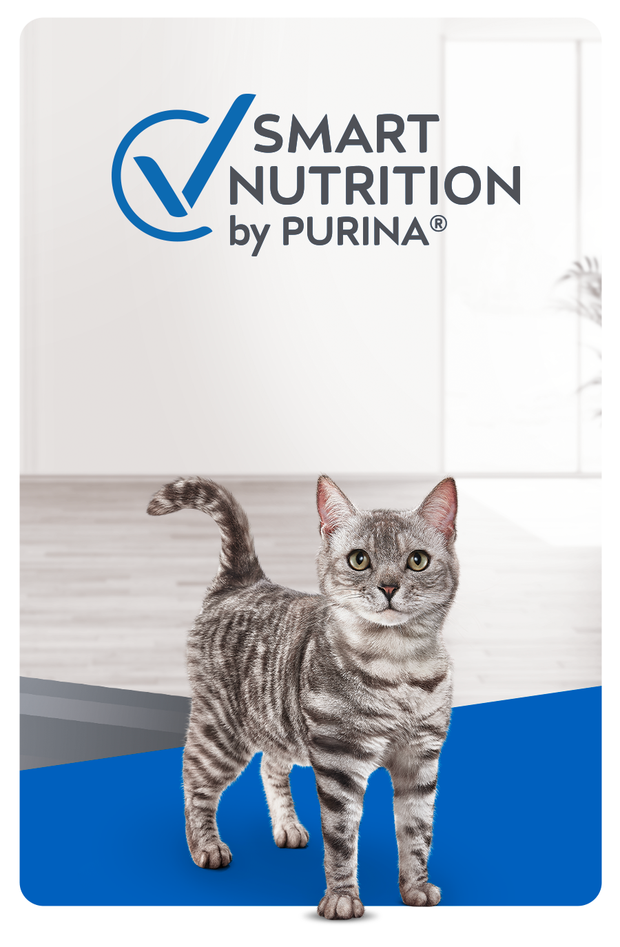 Alimento para gato Alimento para gato