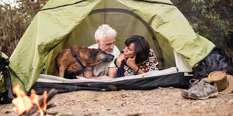 Perros para adultos mayores en un camping
