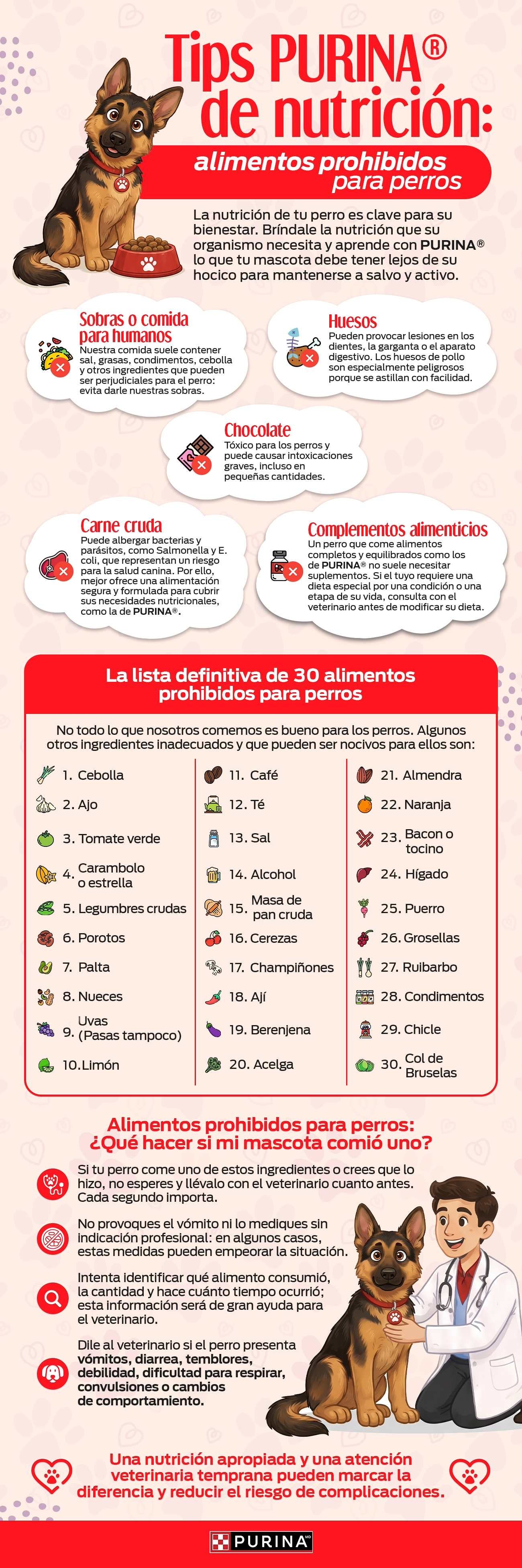 Conoce la lista definitiva de 30 alimentos prohibidos para perros en nuestra infografía PURINA®.