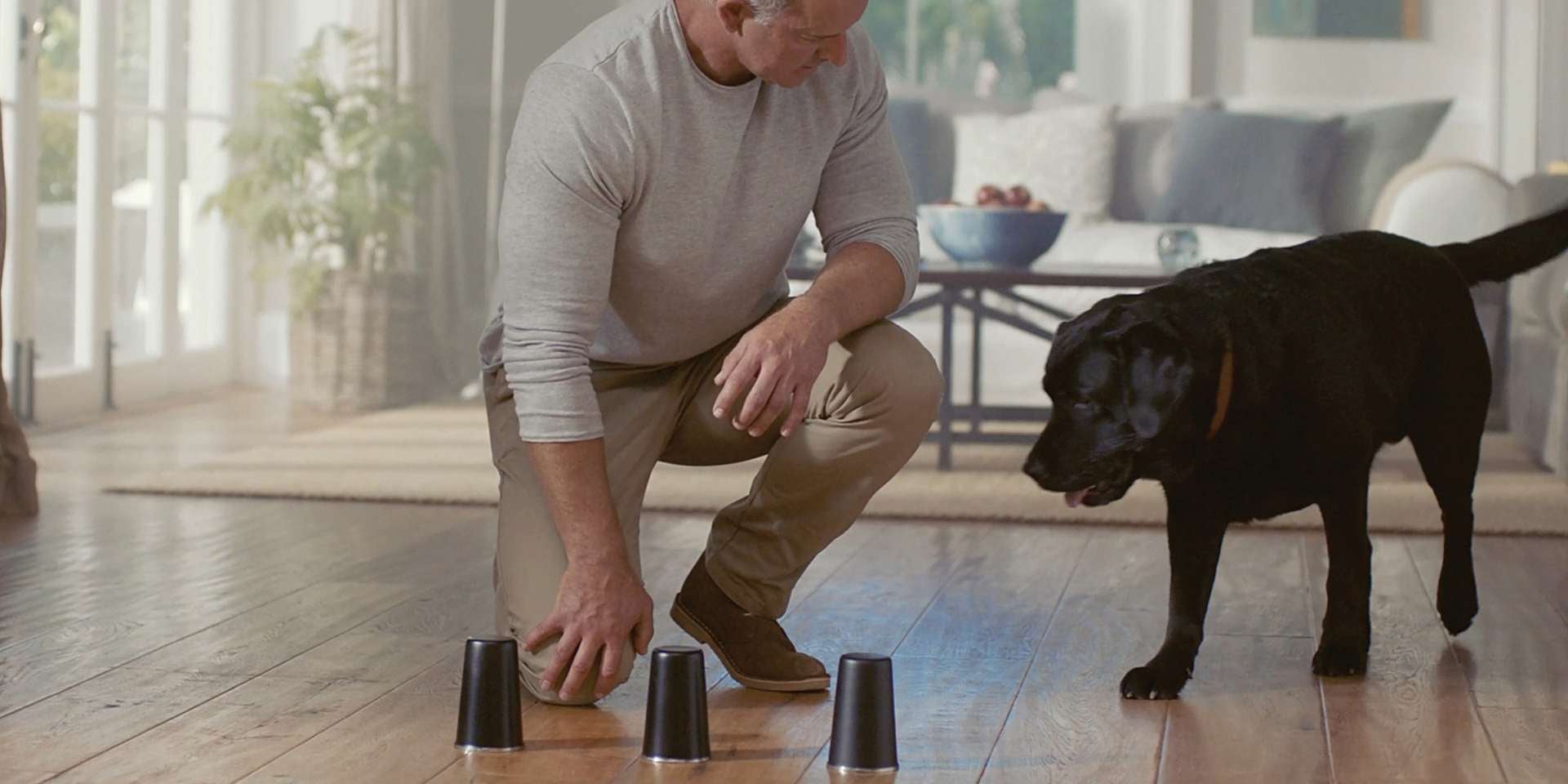 Si piensas “mi perro no quiere comer, ¿qué hago?”, algunos juegos pueden ayudar. Tutor jugando con su mascota.