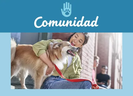 purina-img-community.jpg.webp?itok=rwXZbmnv